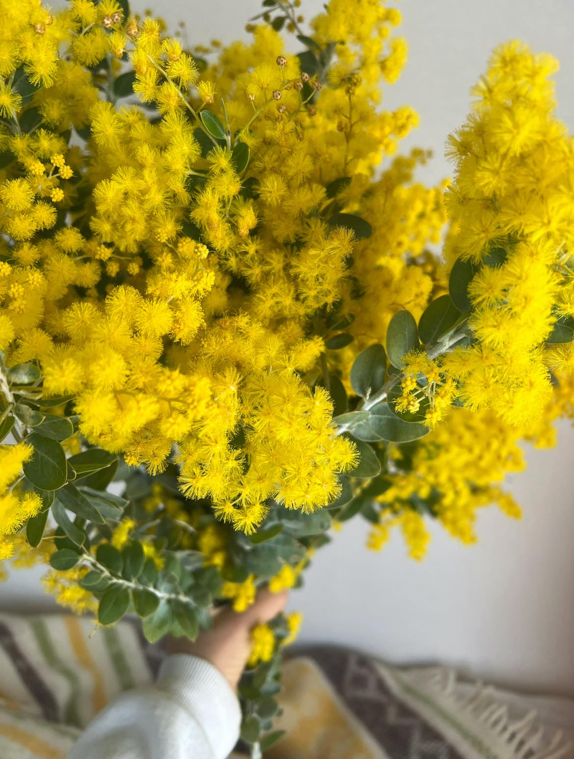 チガヤ農作物店(高橋久美子）